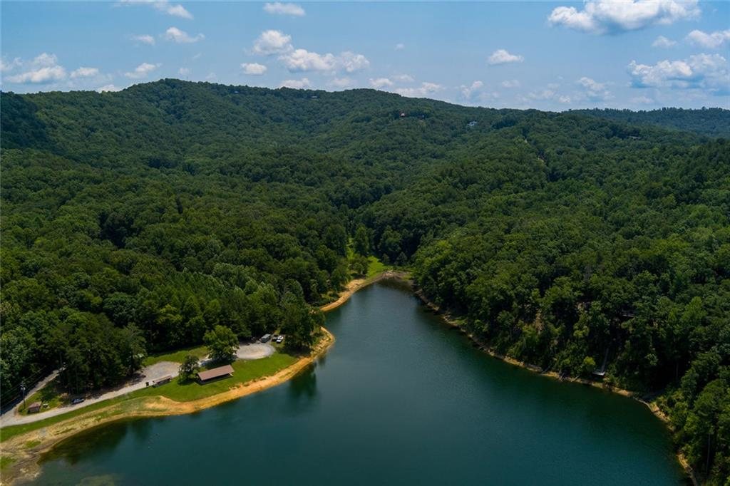 Aerial view of the community lake, 1145 Embry Court, Ranger GA