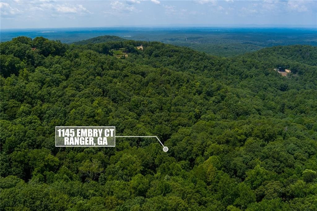 Aerial view of the 2.05 acre parcel location, 1145 Embry Court, Ranger GA